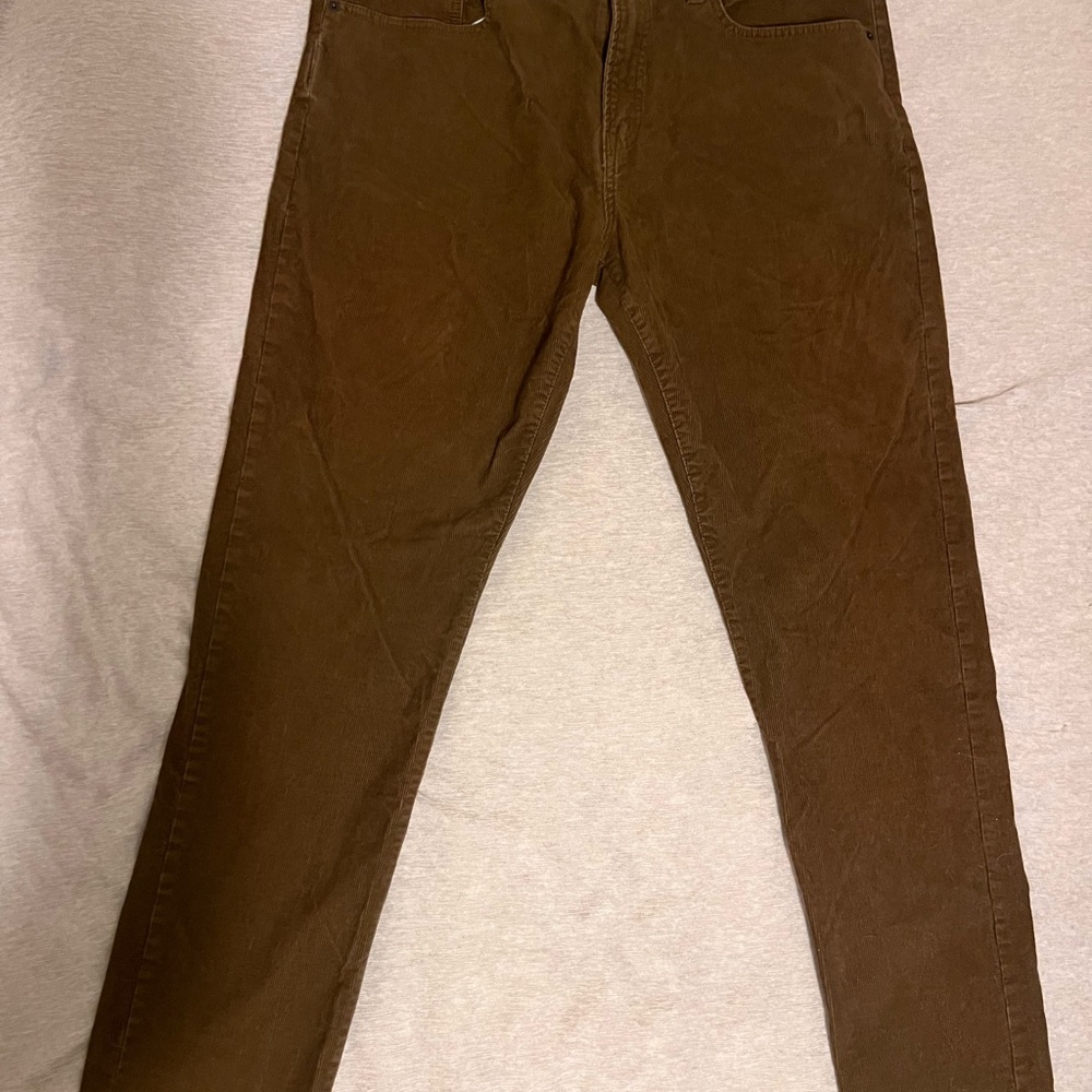 GAP Brown Corduroy Pants for Men
